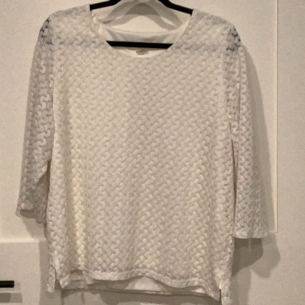 Allison Daley blouse size 1X